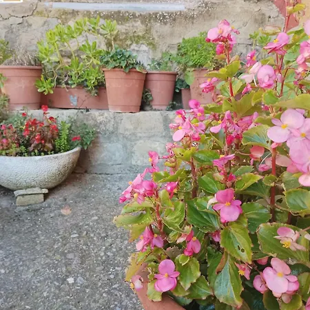 San Jose בית הארחה *