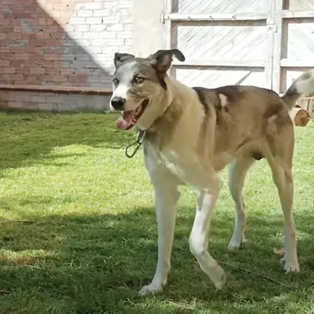 San Jose בית הארחה Naval