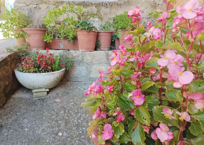 San Jose ゲストハウス *